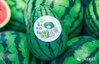 52爆料吃瓜网 网红吃瓜独家爆料反差,反差背后的真实故事